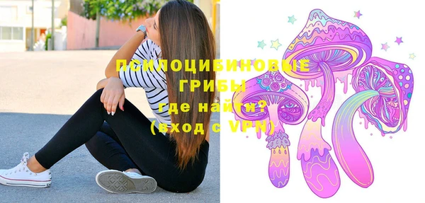твердый Приозерск