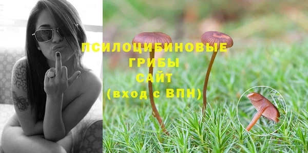 твердый Приозерск