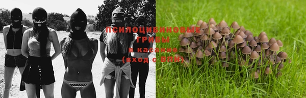 прущая мука Пролетарск