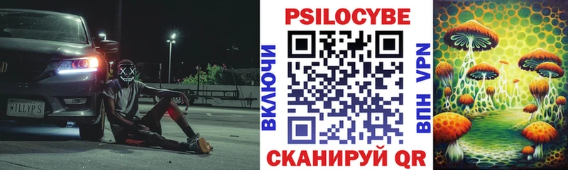 Галлюциногенные грибы Psilocybe  Салаир 