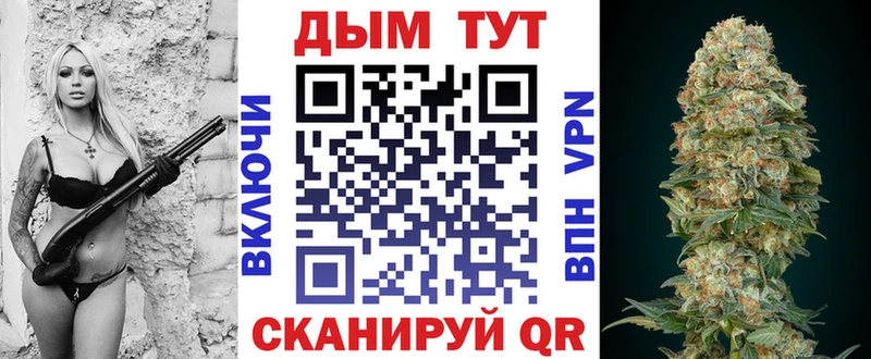 Канабис гибрид закладка Салаир